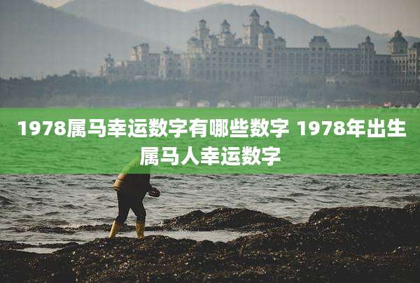1978属马幸运数字有哪些数字 1978年出生属马人幸运数字