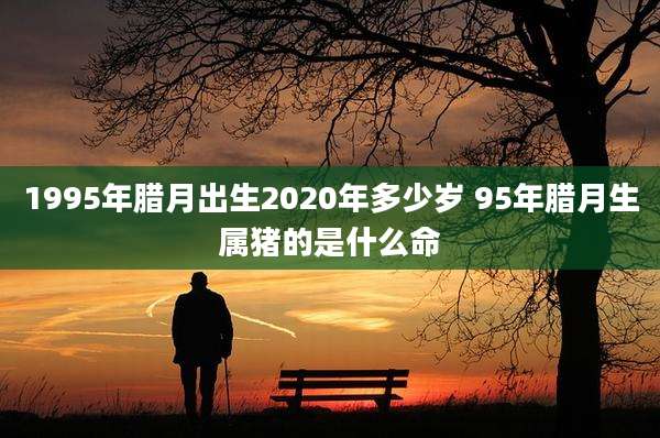1995年腊月出生2020年多少岁 95年腊月生属猪的是什么命