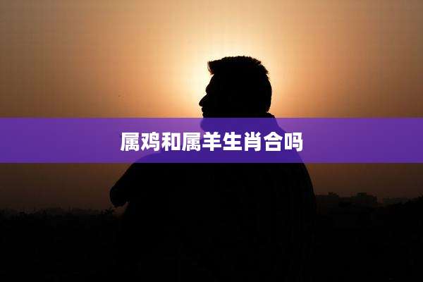 属鸡和属羊生肖合吗