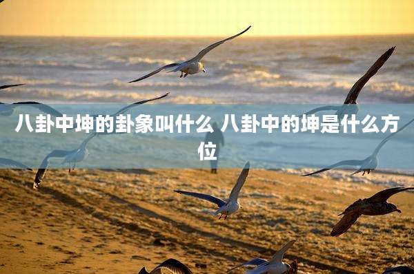 八卦中坤的卦象叫什么 八卦中的坤是什么方位