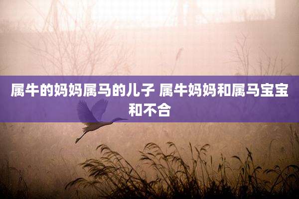 属牛的妈妈属马的儿子 属牛妈妈和属马宝宝和不合