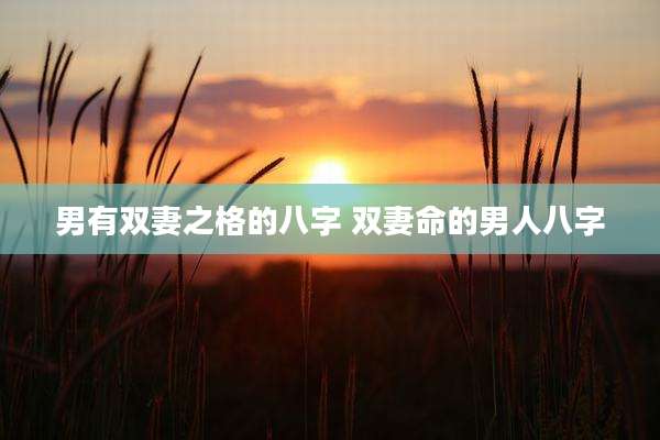 男有双妻之格的八字 双妻命的男人八字