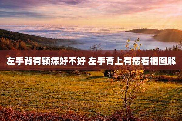 左手背有颗痣好不好 左手背上有痣看相图解