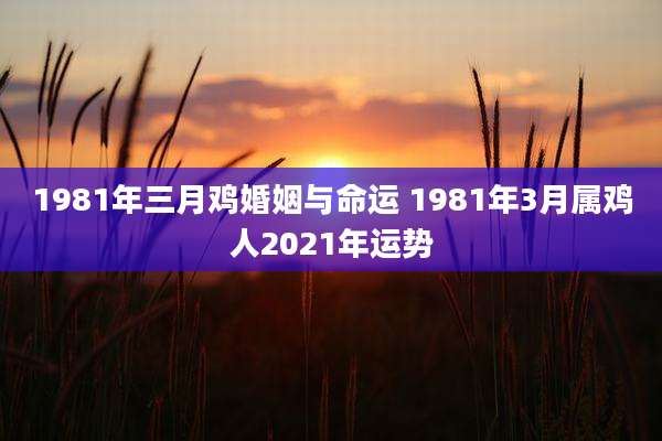 1981年三月鸡婚姻与命运 1981年3月属鸡人2021年运势