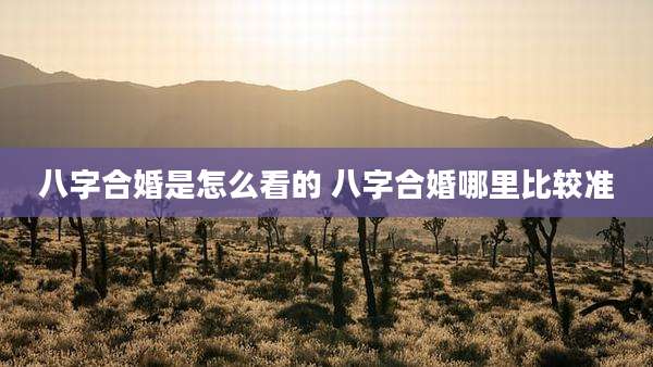 八字合婚是怎么看的 八字合婚哪里比较准