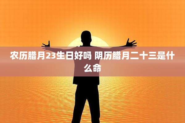 农历腊月23生日好吗 阴历腊月二十三是什么命