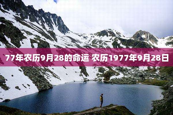 77年农历9月28的命运 农历1977年9月28日