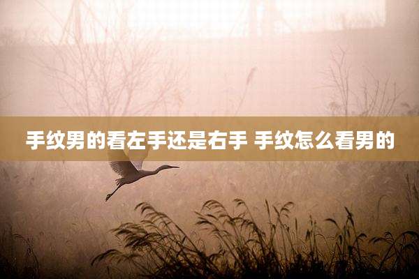 手纹男的看左手还是右手 手纹怎么看男的