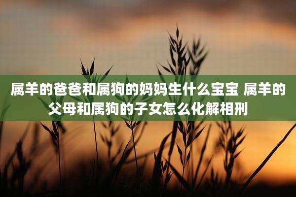 属羊的爸爸和属狗的妈妈生什么宝宝 属羊的父母和属狗的子女怎么化解相刑