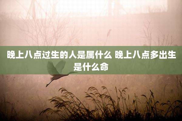 晚上八点过生的人是属什么 晚上八点多出生是什么命