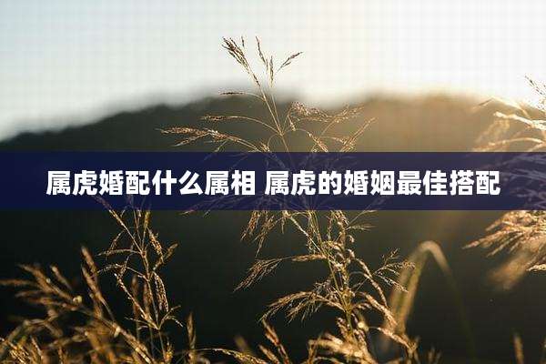 属虎婚配什么属相 属虎的婚姻最佳搭配