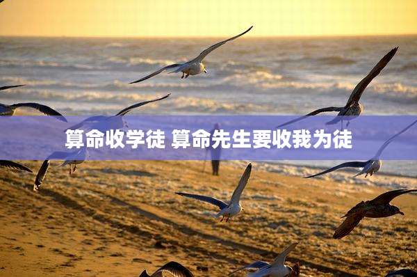 算命收学徒 算命先生要收我为徒
