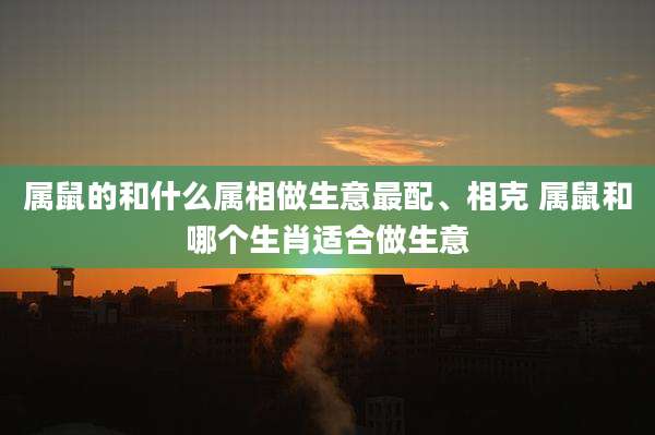 属鼠的和什么属相做生意最配、相克 属鼠和哪个生肖适合做生意