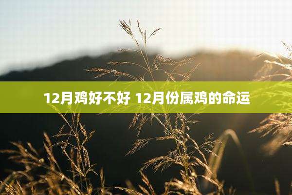 12月鸡好不好 12月份属鸡的命运