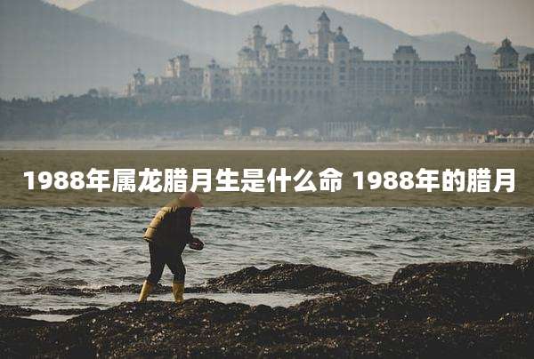 1988年属龙腊月生是什么命 1988年的腊月