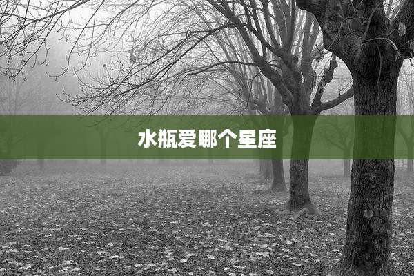水瓶爱哪个星座