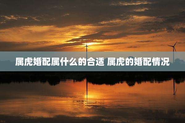 属虎婚配属什么的合适 属虎的婚配情况
