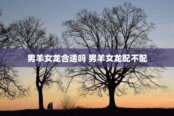 男羊女龙合适吗 男羊女龙配不配