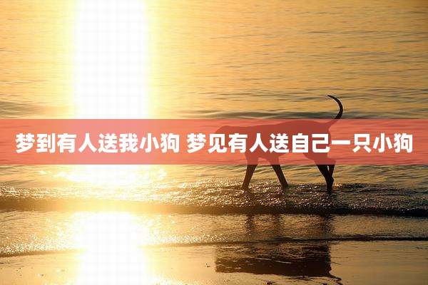 梦到有人送我小狗 梦见有人送自己一只小狗