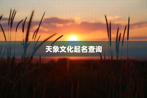 天象文化起名查询