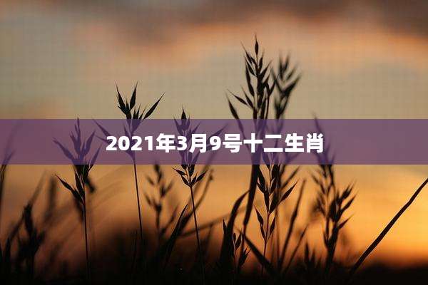 2021年3月9号十二生肖