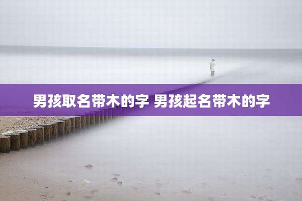 男孩取名带木的字 男孩起名带木的字