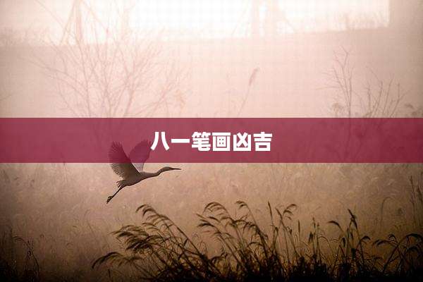 八一笔画凶吉