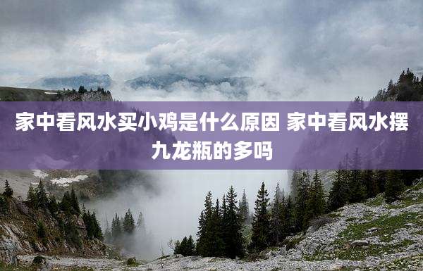 家中看风水买小鸡是什么原因 家中看风水摆九龙瓶的多吗