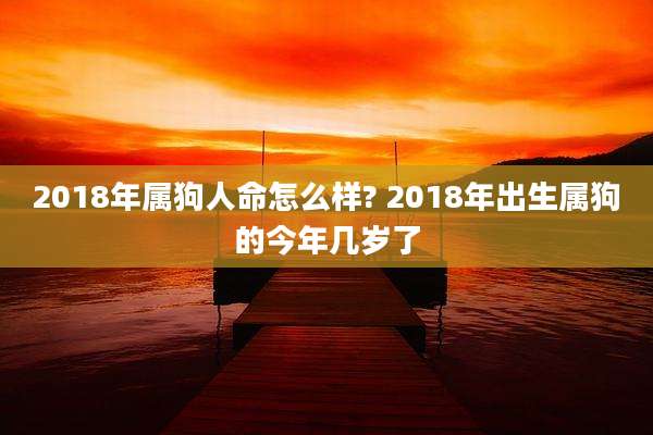 2018年属狗人命怎么样? 2018年出生属狗的今年几岁了