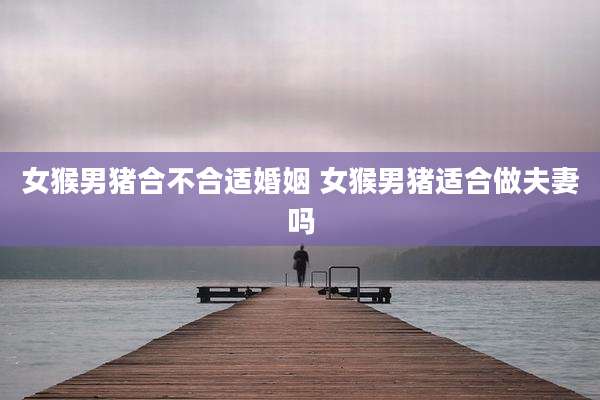 女猴男猪合不合适婚姻 女猴男猪适合做夫妻吗