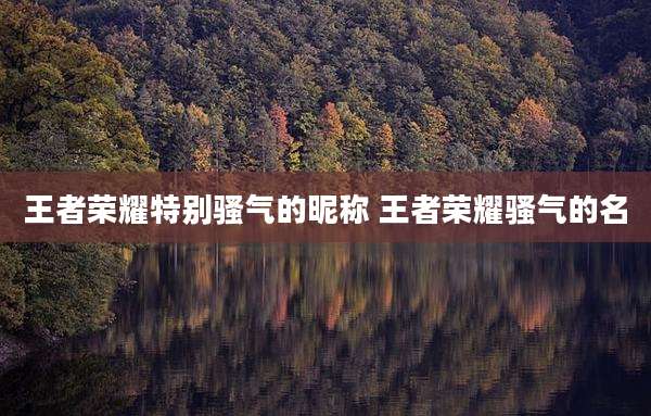 王者荣耀特别骚气的昵称 王者荣耀骚气的名