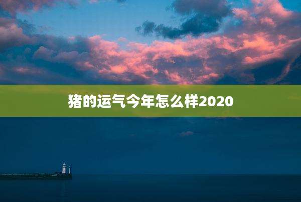 猪的运气今年怎么样2020