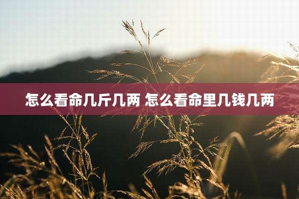 怎么看命几斤几两 怎么看命里几钱几两