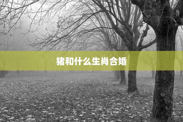 猪和什么生肖合婚