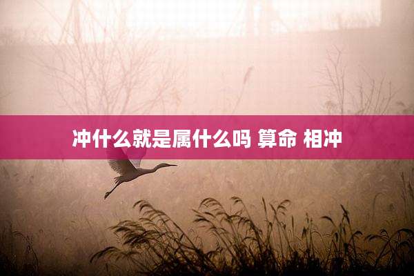 冲什么就是属什么吗 算命 相冲