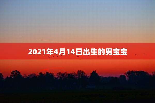 2021年4月14日出生的男宝宝