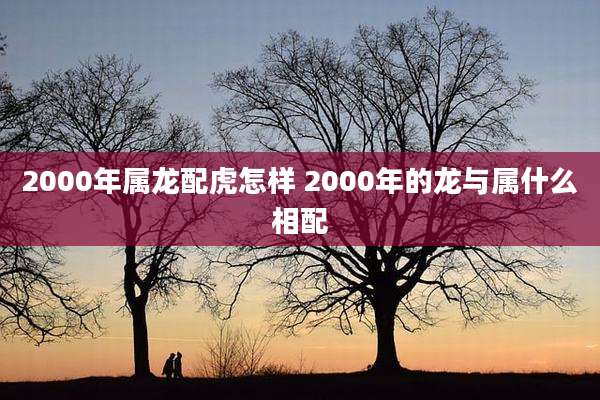2000年属龙配虎怎样 2000年的龙与属什么相配