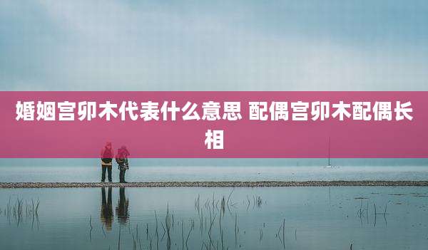婚姻宫卯木代表什么意思 配偶宫卯木配偶长相