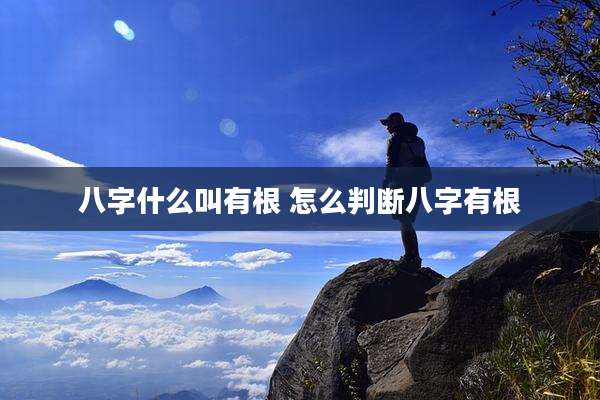 八字什么叫有根 怎么判断八字有根