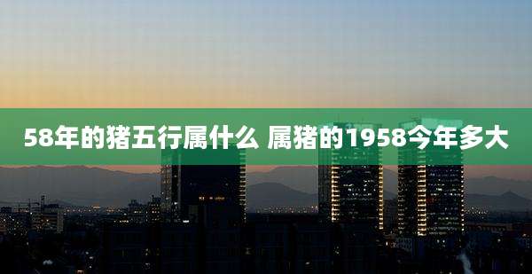 58年的猪五行属什么 属猪的1958今年多大