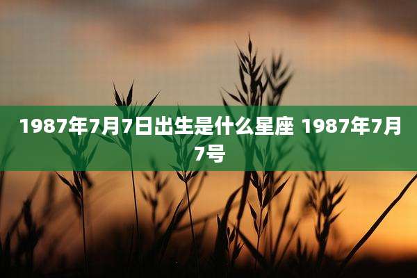 1987年7月7日出生是什么星座 1987年7月7号
