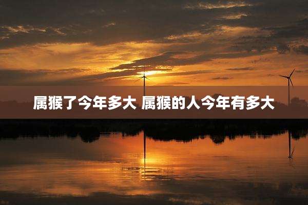 属猴了今年多大 属猴的人今年有多大