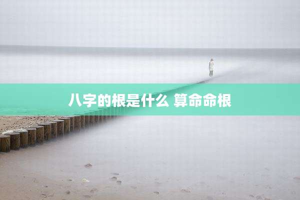 八字的根是什么 算命命根