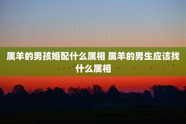 属羊的男孩婚配什么属相 属羊的男生应该找什么属相