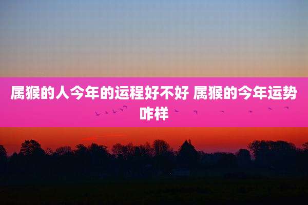 属猴的人今年的运程好不好 属猴的今年运势咋样