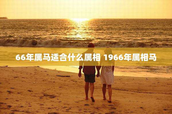 66年属马适合什么属相 1966年属相马