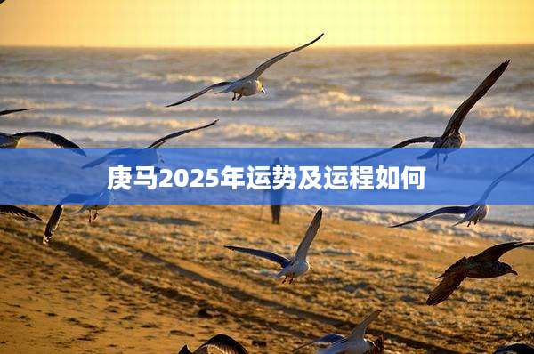 庚马2025年运势及运程如何