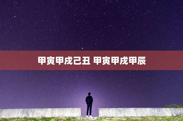 甲寅甲戌己丑 甲寅甲戌甲辰