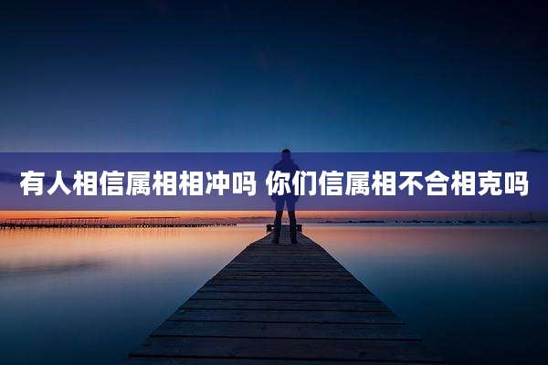 有人相信属相相冲吗 你们信属相不合相克吗