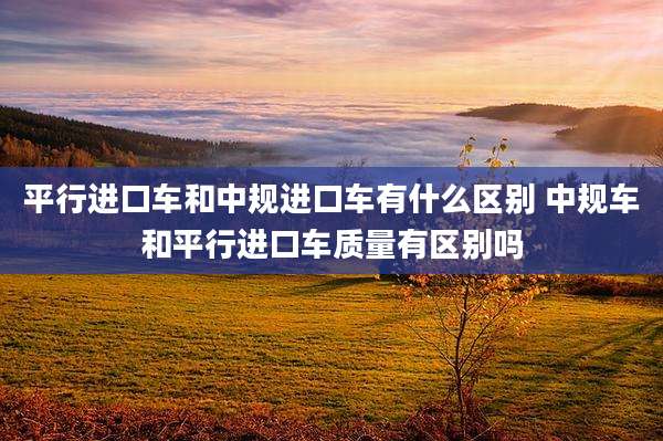 平行进口车和中规进口车有什么区别 中规车和平行进口车质量有区别吗